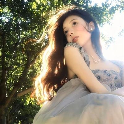 好狗两头走 海报
